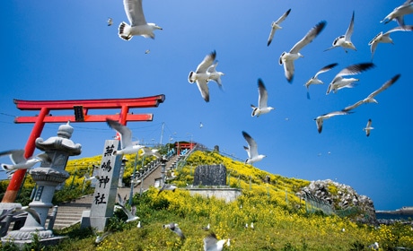 蕪島公園